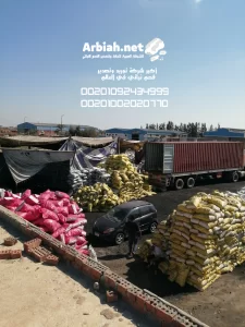 شركات الفحم