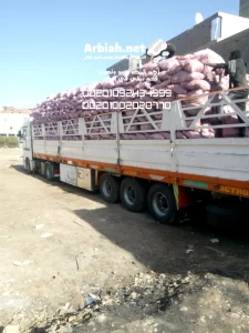 اماكن بيع الفحم